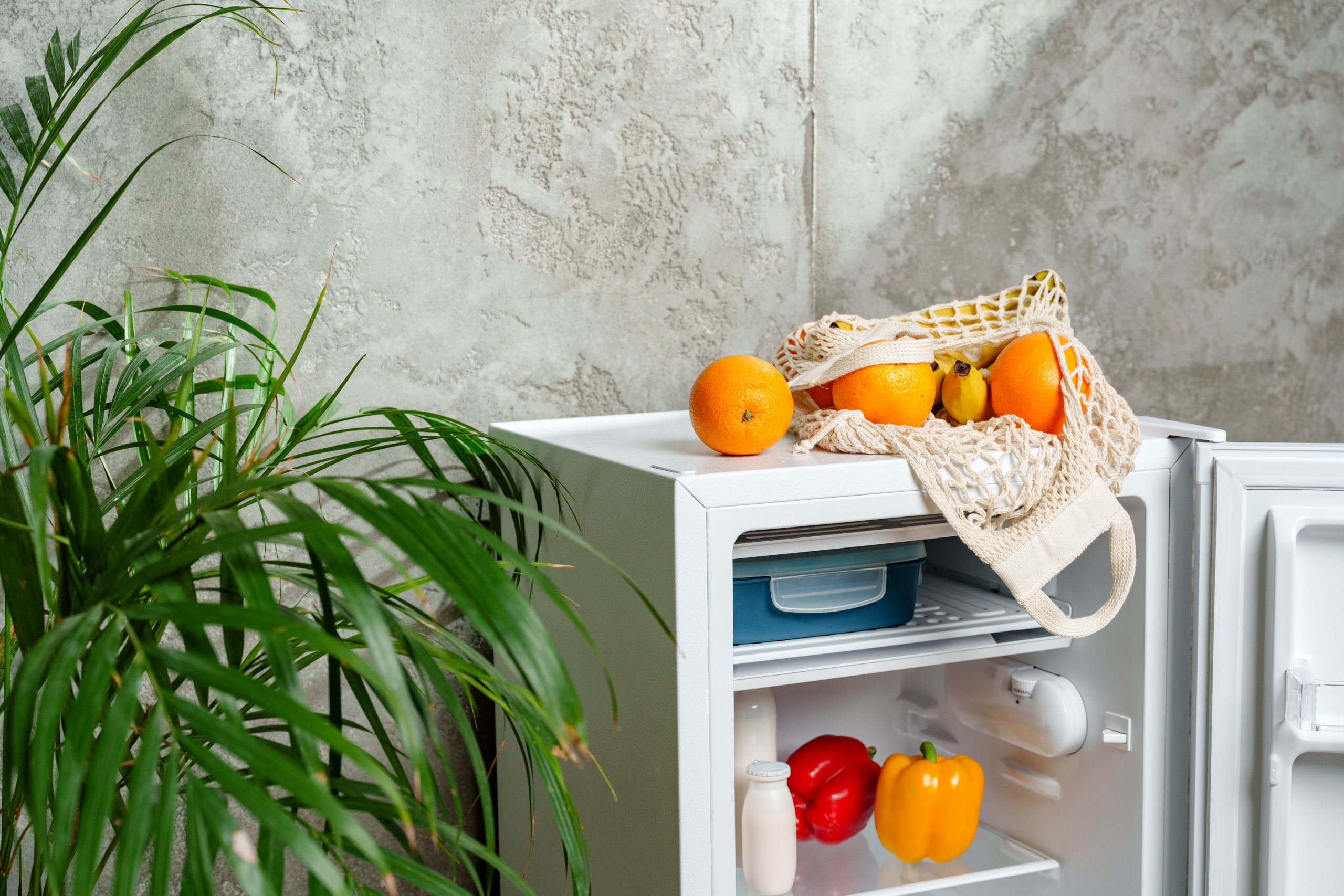 frutta e verdura possono essere conservate nel frigo